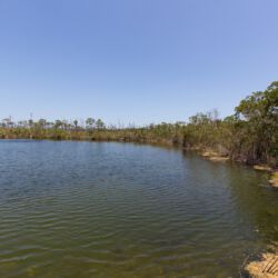 Blue Hole auf Big Pine Key