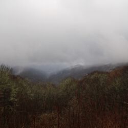 In den Smoky Mountains