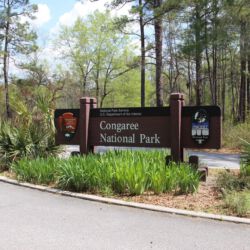 Congaree National Park