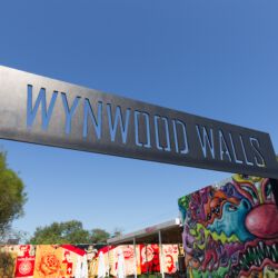 Wynwood Walls