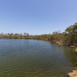 Blue Hole auf Big Pine Key