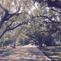 Allee in Coral Gables