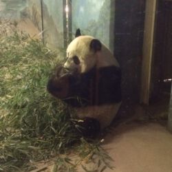Smithsonian National Zoological Park