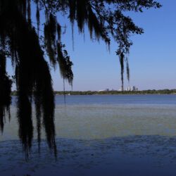 Boyd Hill Nature Preserve