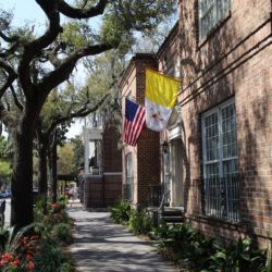 Savannah