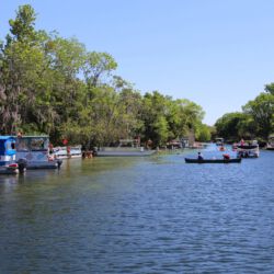 Crystal River National Wildlife Refuge