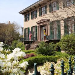 Savannah