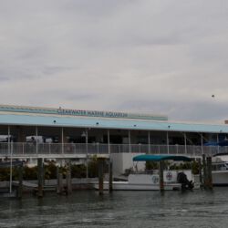 Clearwater Marine Aquarium