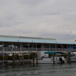 Clearwater Marine Aquarium