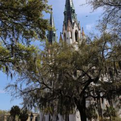 Savannah