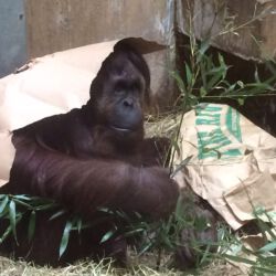 Smithsonian National Zoological Park