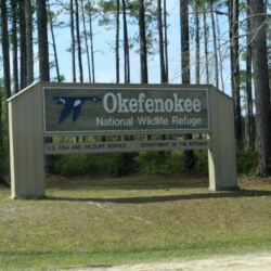 Okefenokee National Wildlife Refuge