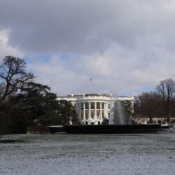 Garten des White House