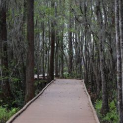 Okefenokee National Wildlife Refuge