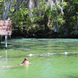 Crystal River National Wildlife Refuge