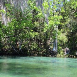 Crystal River National Wildlife Refuge