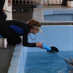 Clearwater Marine Aquarium
