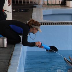 Clearwater Marine Aquarium