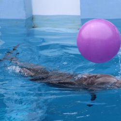 Clearwater Marine Aquarium