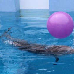 Clearwater Marine Aquarium