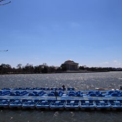 Tidal Basin