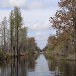 Okefenokee National Wildlife Refuge
