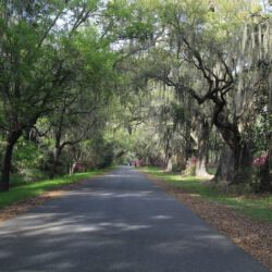 Audubon Swamp Garden