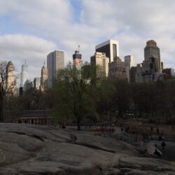 Central Park