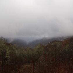 In den Smoky Mountains