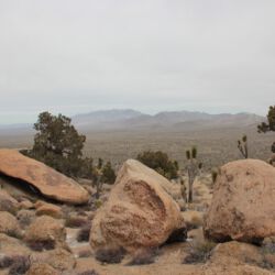 Mojave Wüste