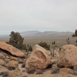 Mojave Wüste