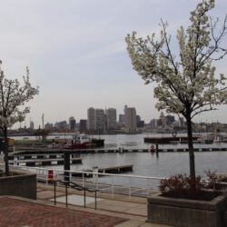 Central Waterfront Camden, NJ