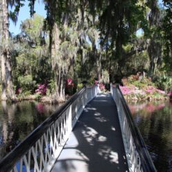 Magnolia Plantation and Gardens