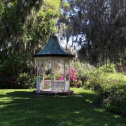 Magnolia Plantation and Gardens