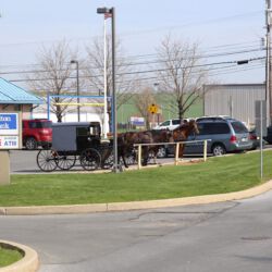 Noch mehr Kutschen Parkplätze