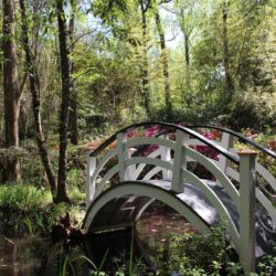 Magnolia Plantation and Gardens