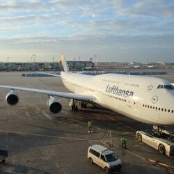 Boeing 747-8i in Frankfurt