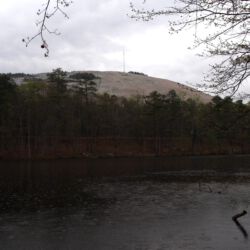 Stone Mountain