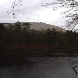 Stone Mountain